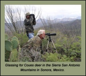 Bryce Towsley Glassing for Coues Deer