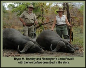 Bryce Towsley and Remington's Linda Powell with the two buffalo taken during their hunt.